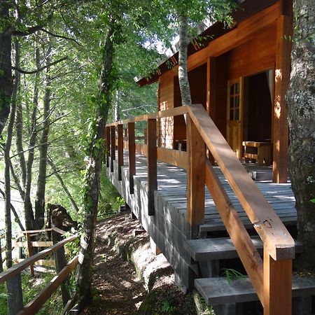 Patagonia Mawida Villa Neltume Ngoại thất bức ảnh