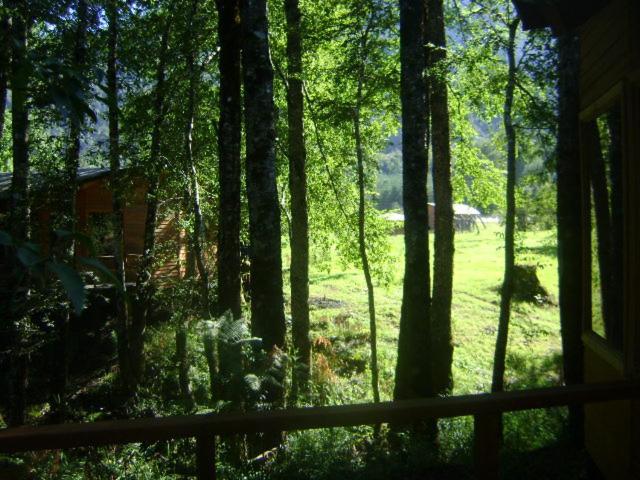 Patagonia Mawida Villa Neltume Ngoại thất bức ảnh