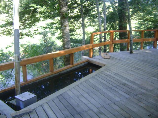 Patagonia Mawida Villa Neltume Ngoại thất bức ảnh
