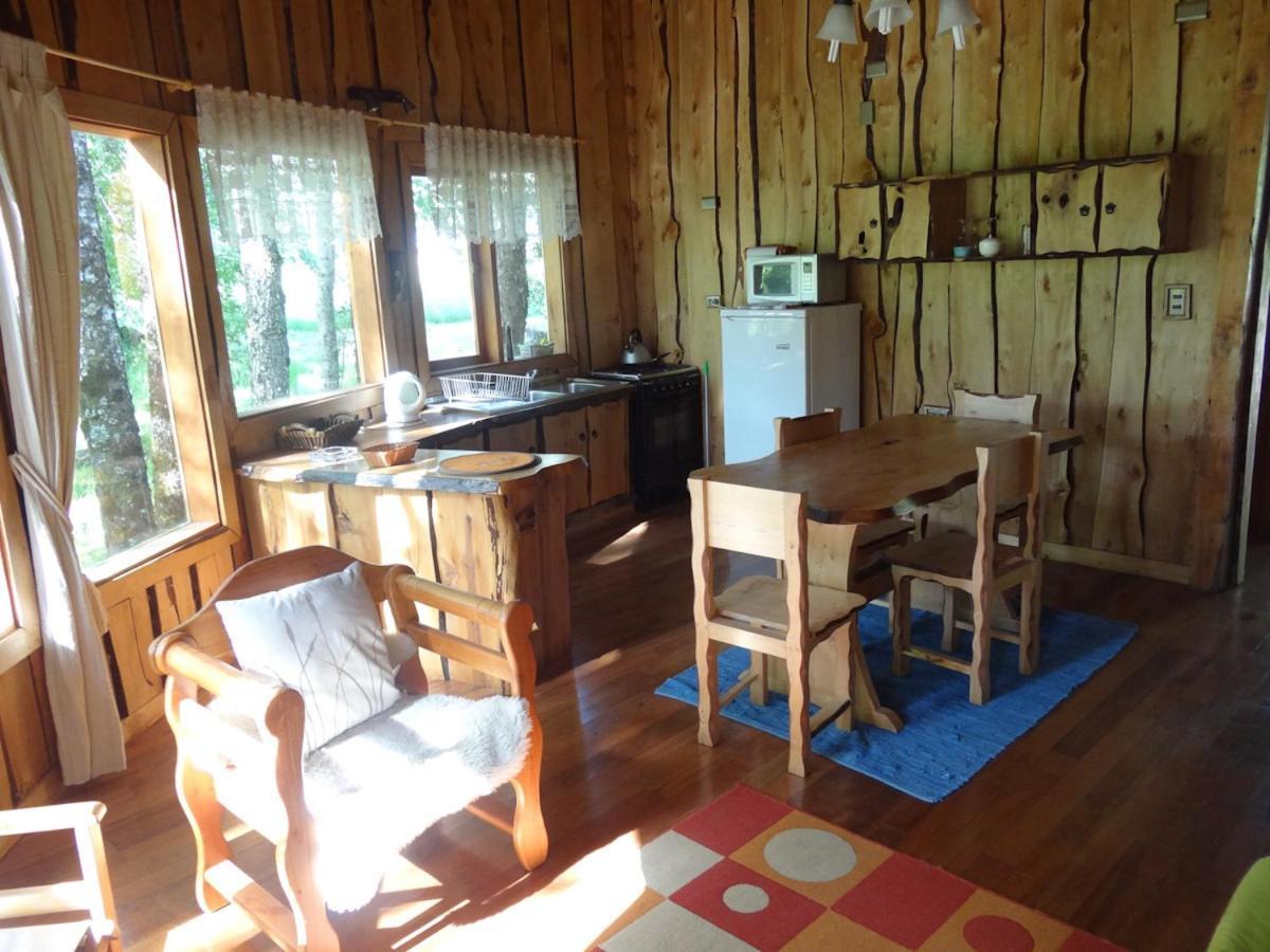 Patagonia Mawida Villa Neltume Ngoại thất bức ảnh