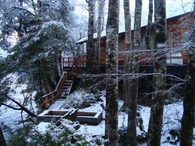 Patagonia Mawida Villa Neltume Ngoại thất bức ảnh