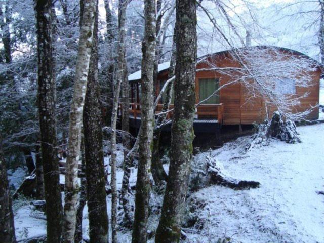 Patagonia Mawida Villa Neltume Ngoại thất bức ảnh