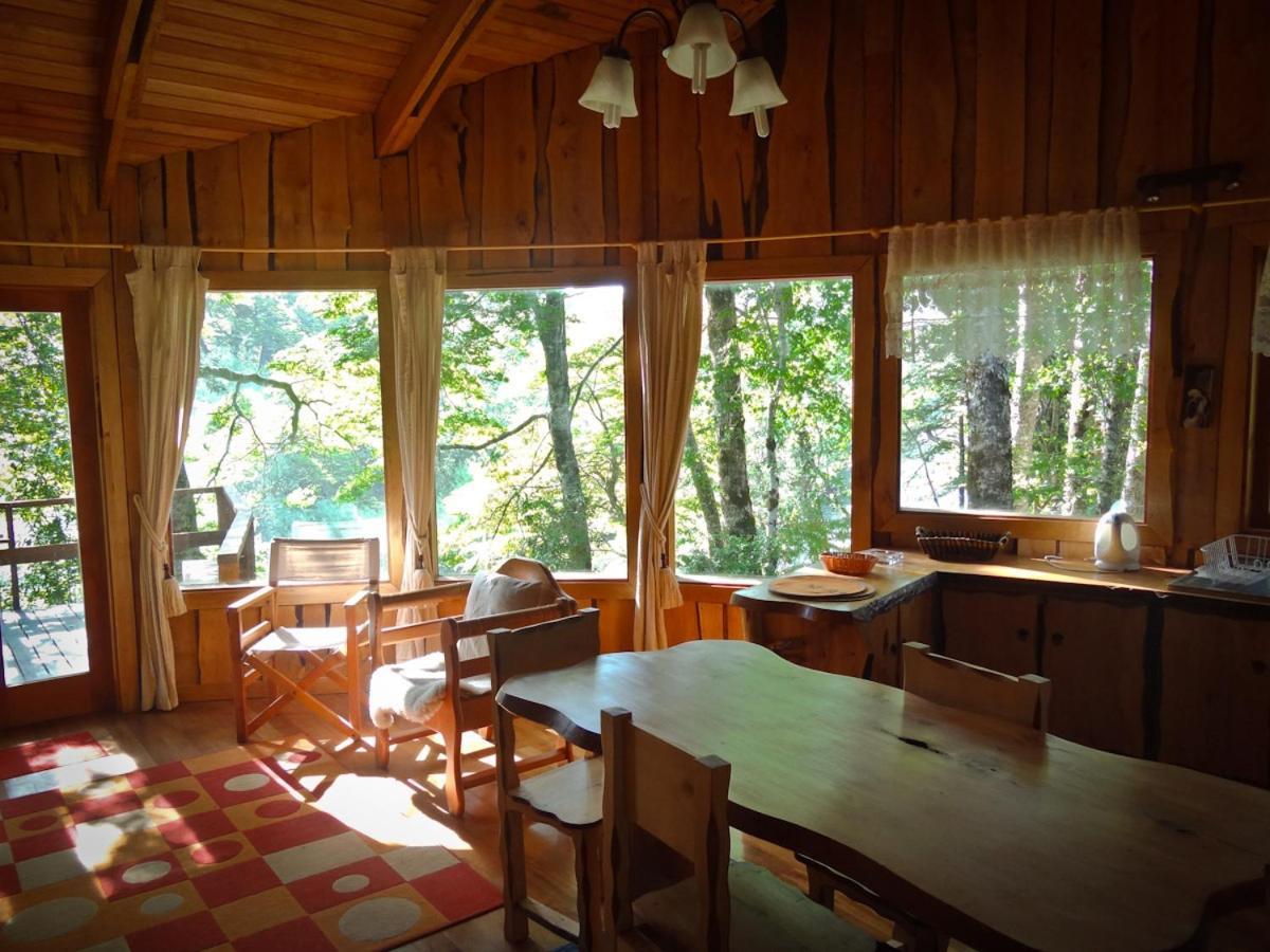 Patagonia Mawida Villa Neltume Ngoại thất bức ảnh