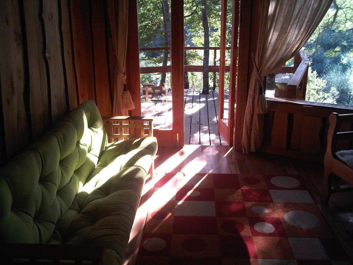Patagonia Mawida Villa Neltume Ngoại thất bức ảnh