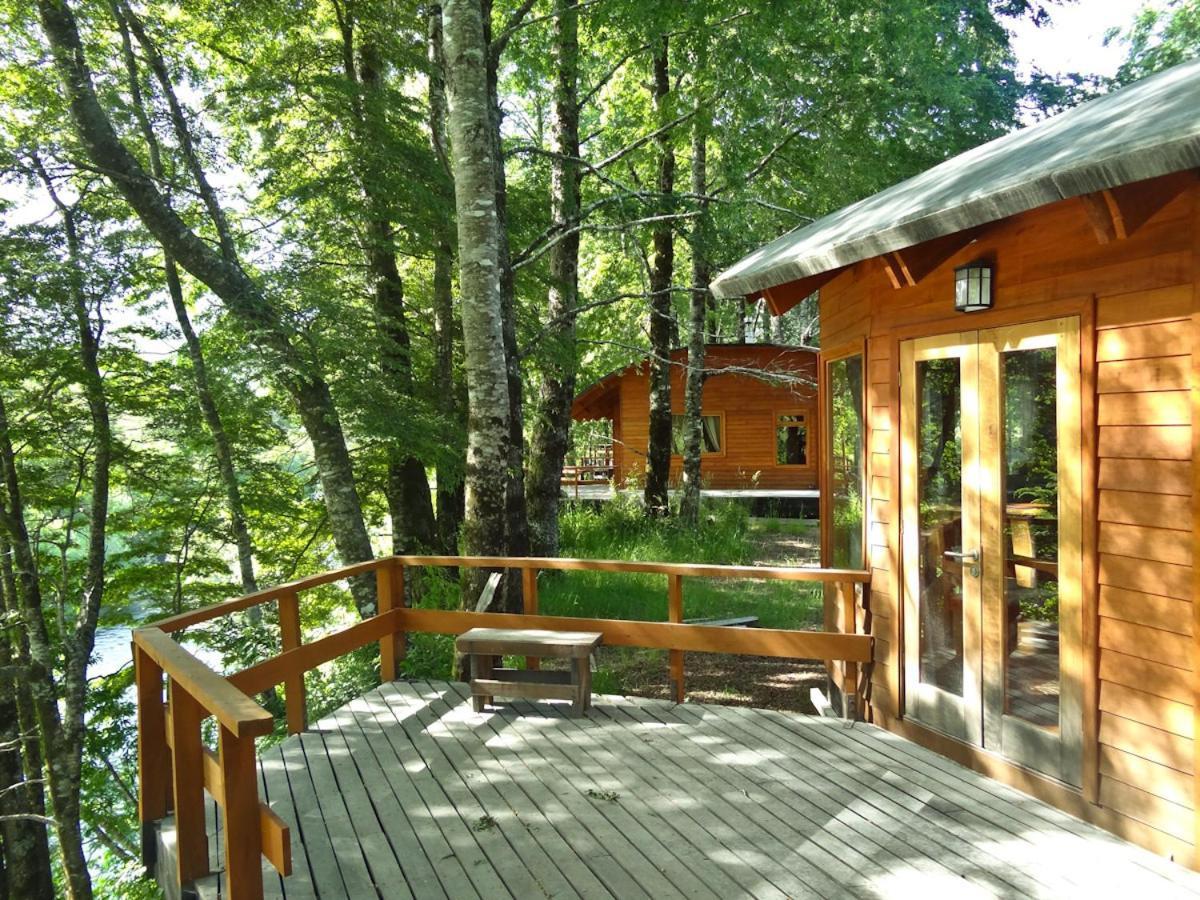Patagonia Mawida Villa Neltume Ngoại thất bức ảnh