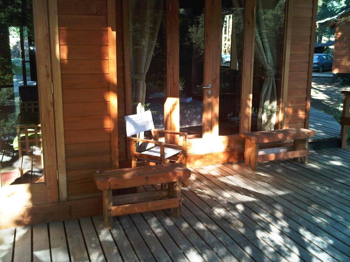 Patagonia Mawida Villa Neltume Ngoại thất bức ảnh