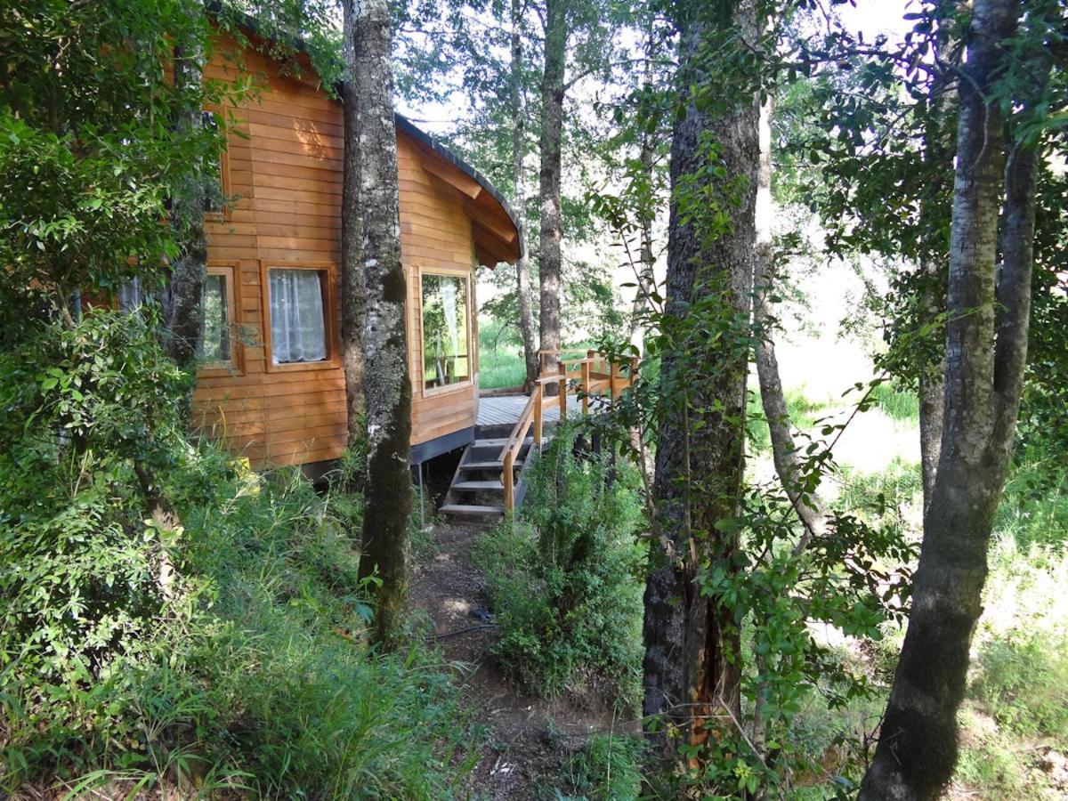 Patagonia Mawida Villa Neltume Ngoại thất bức ảnh