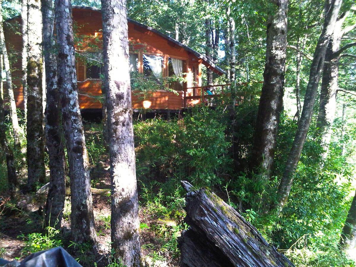 Patagonia Mawida Villa Neltume Ngoại thất bức ảnh