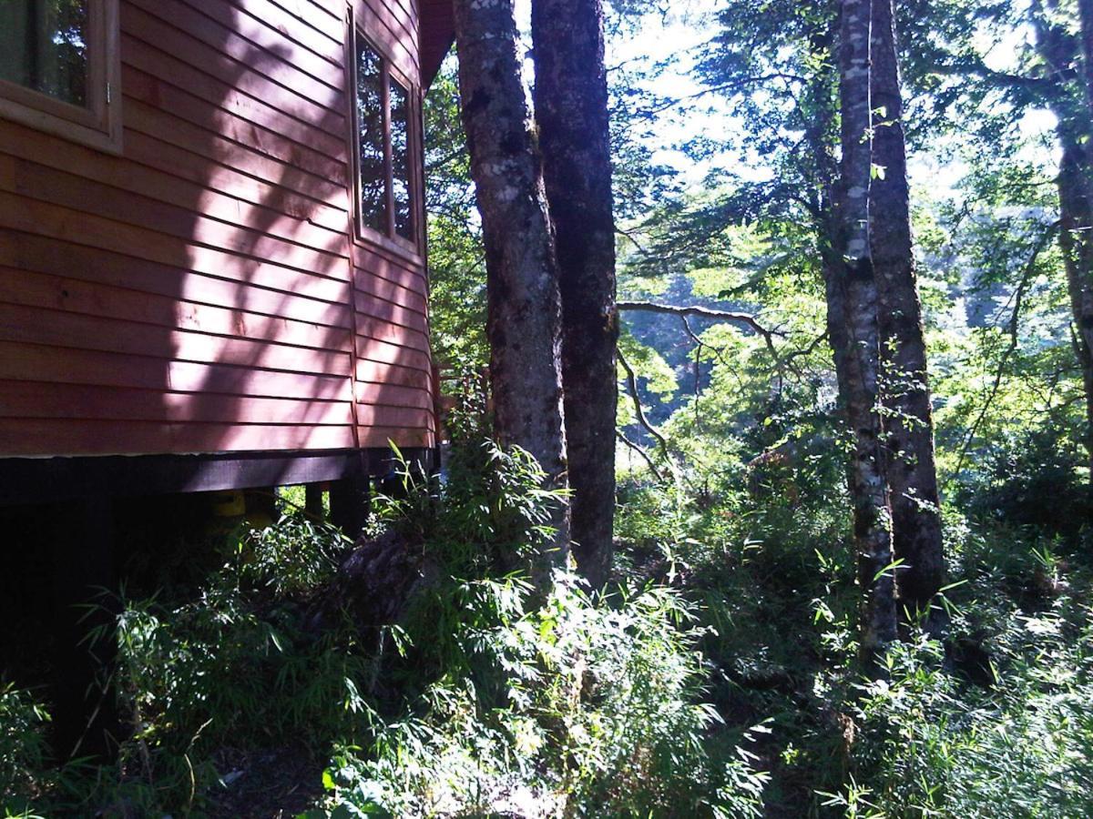 Patagonia Mawida Villa Neltume Ngoại thất bức ảnh
