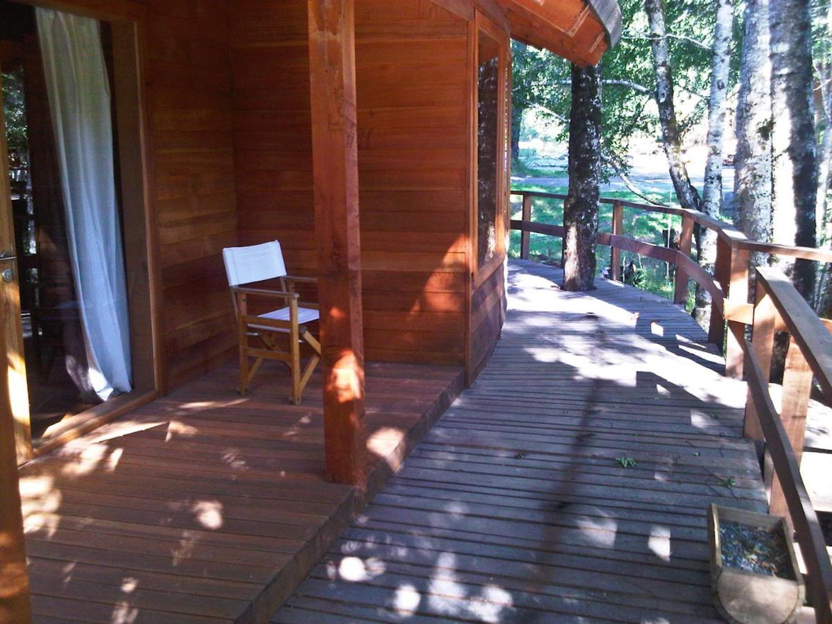 Patagonia Mawida Villa Neltume Ngoại thất bức ảnh