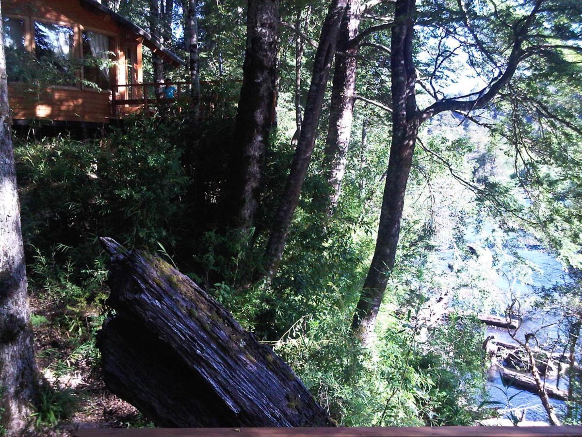 Patagonia Mawida Villa Neltume Ngoại thất bức ảnh