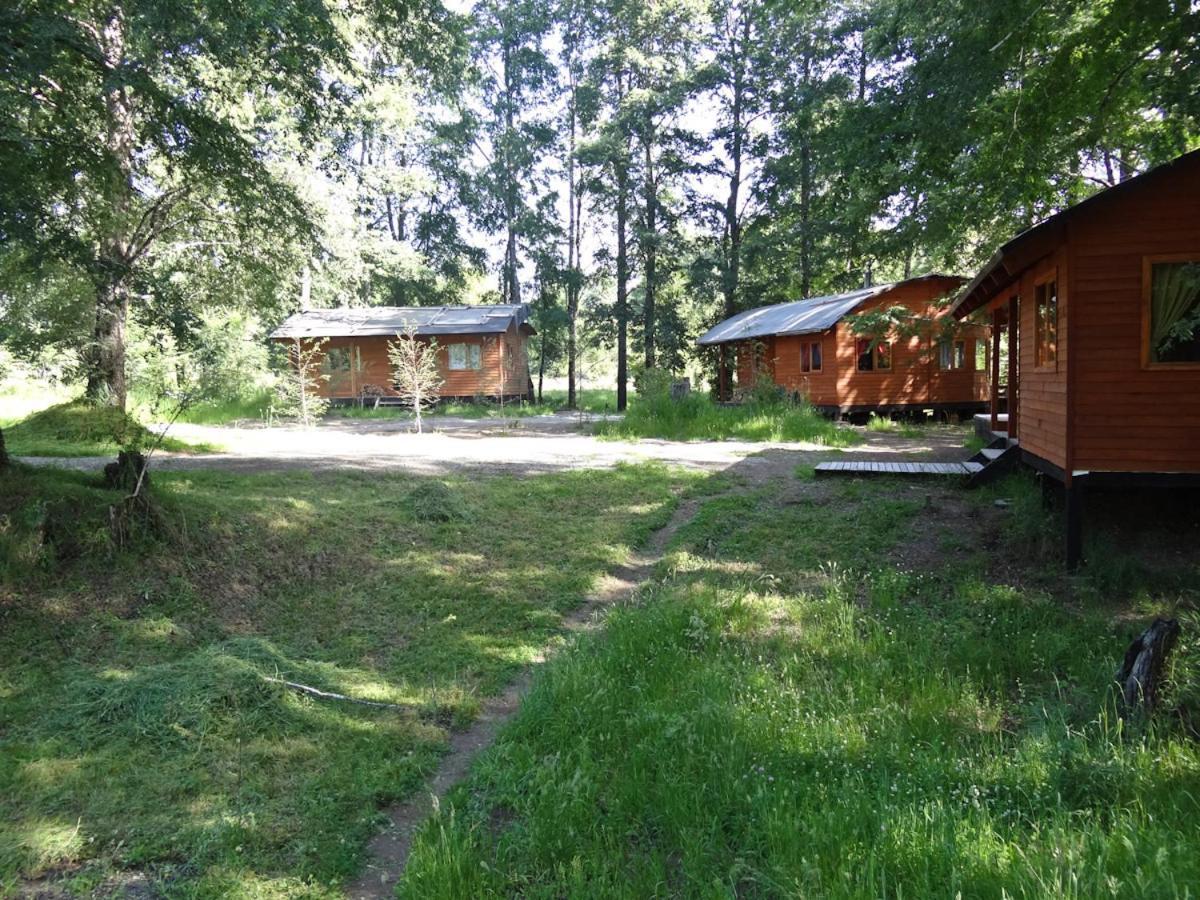 Patagonia Mawida Villa Neltume Ngoại thất bức ảnh
