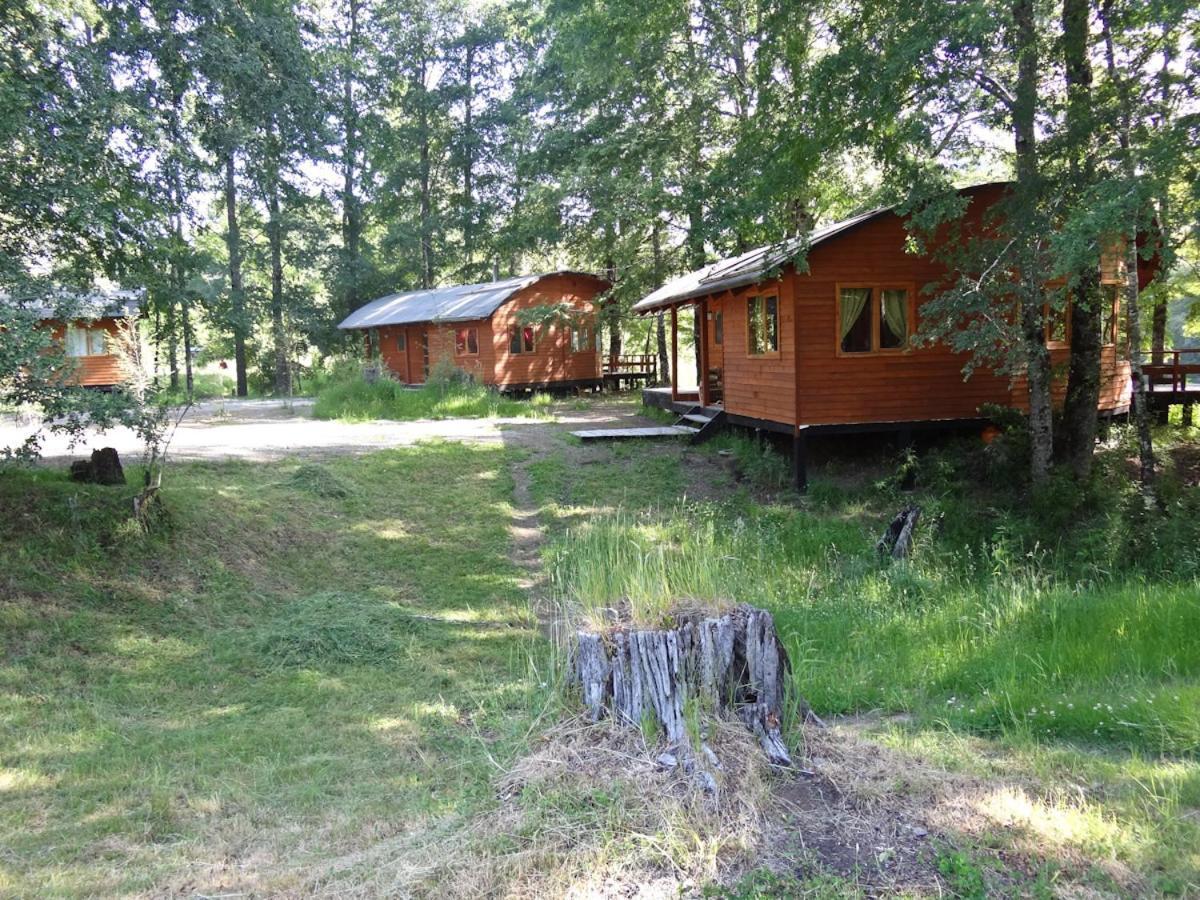 Patagonia Mawida Villa Neltume Ngoại thất bức ảnh