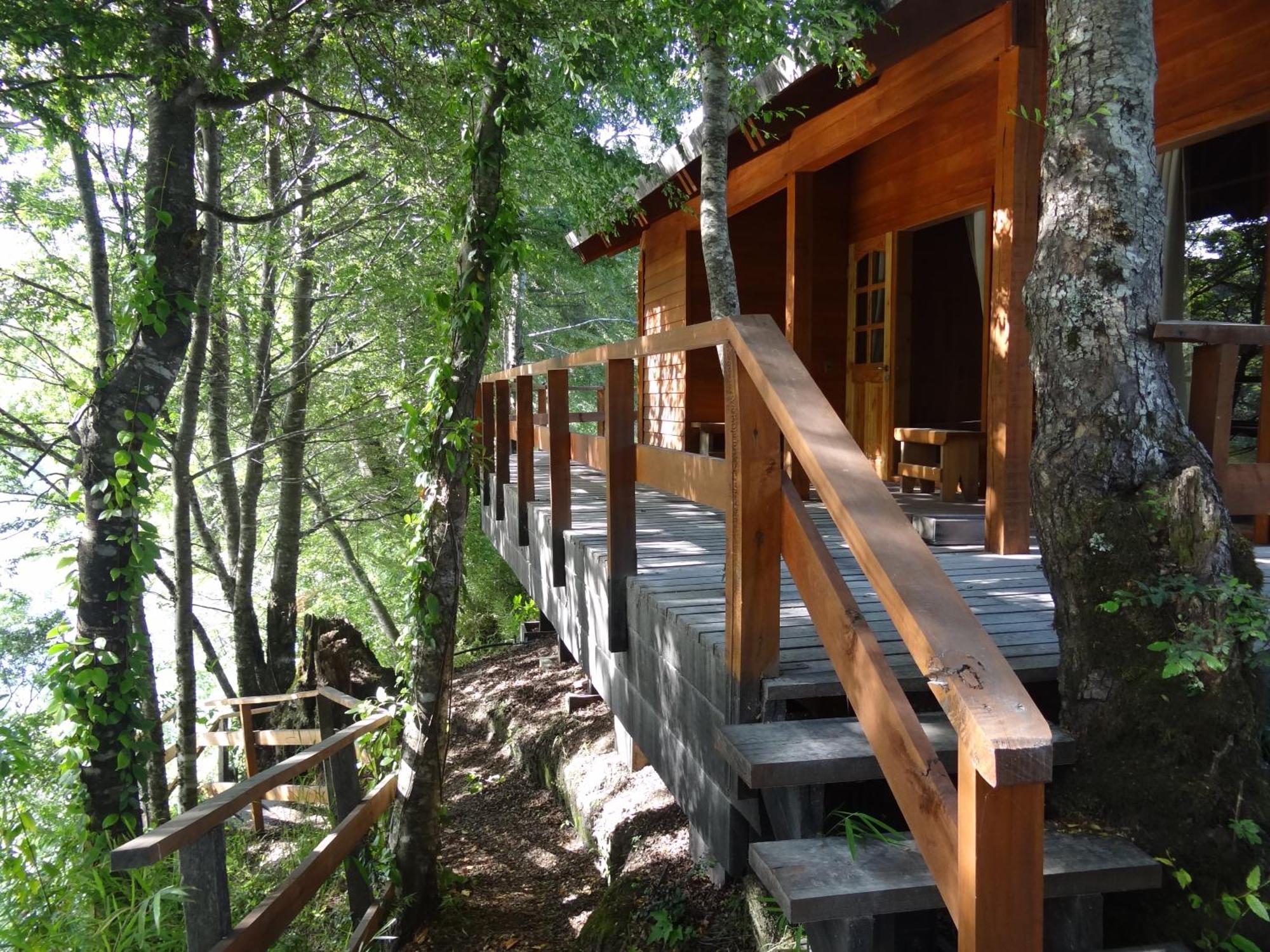 Patagonia Mawida Villa Neltume Ngoại thất bức ảnh